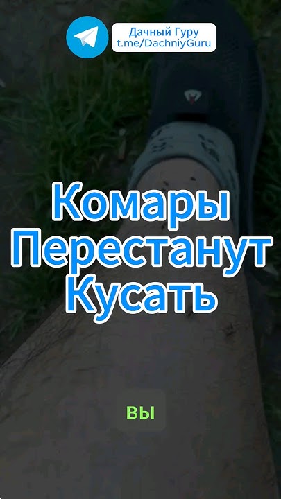 Комары перестанут кусать от этого средства! #комары #вредители #грядки ...