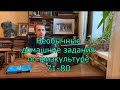 71-80 - Необычные домашние задания по физкультуре