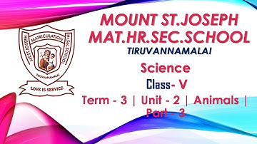 5th Std | Science | Term - 3 | Unit - 2 | Animals | Part - 3