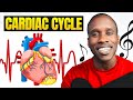 The Cardiac Cycle Unveiled Through Rhythm and Phases