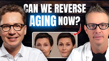 The Longevity Bridge: How AI and Biotechnology Will Change How We Age