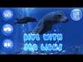 Dive with Sea lions in 360° | Ocean Rift VR [8K]