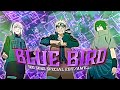 Naruto  blue bird editamv 500 subs special  free preset