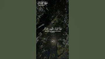 ما تيسر من #سورة_الأنفال ||حالات واتس قرآن ||القارئ#عبدالباسط_عبدالصمد #تلاوة_هادئة