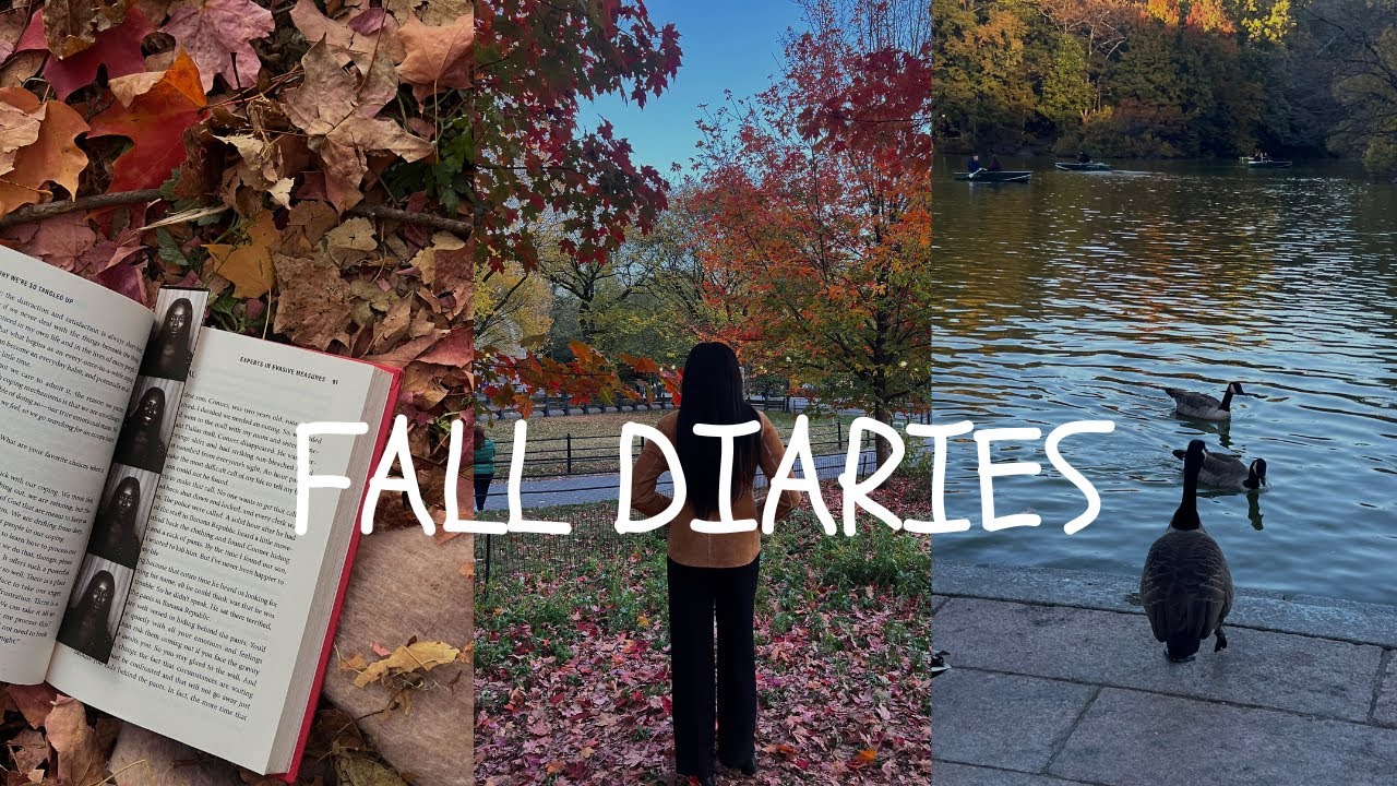 Осенние дневники Нью-Йорка | Уютные кафе, осенние прогулки и самостоятельная перезагрузка