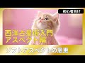 アスペクト学 - ソフトアスペクトの恩寵
