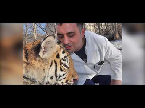 Wideo: Ogień Odkrywa Tygrysy W Filipińskim Domu
