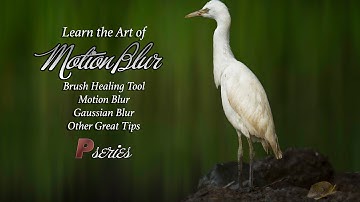 Learn the Art of Motion Blur