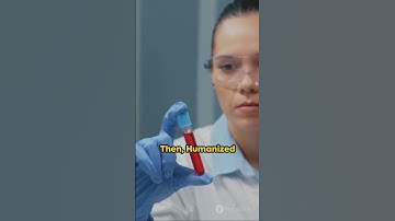 Monoclonal Antibodies The Synthetic Soldiers