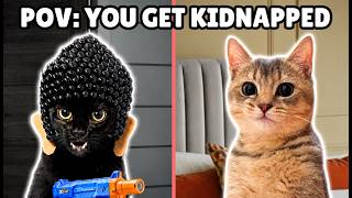 When a cat kidnaps a cat... 😭