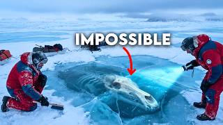 19 Arctic Expeditions That Reported Bizarre Discoveries