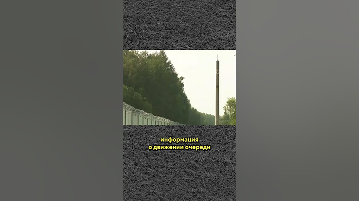 Эксперимент на беларусско-польской границе/Специальные новости  #граница #брест #shorts