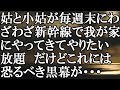 【LINE】姑と小姑が毎週末にわざわざ新幹線で我が家にやってきてやりたい放題　だけどこれには恐るべき黒幕が・・・結果