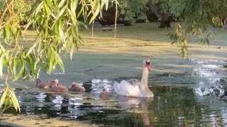 Волшебное путешествие в Аркаим! Энергетический тур по местам силы