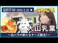 QUEST89【大山乳業】〜白バラの新たなチーズ誕生!〜