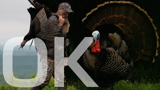 4 Birds In 2 Days, Gobbling In Your Face | Dr Duck by Dr Duck 2,281 views 11 months ago 18 minutes