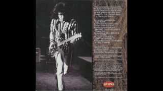 Brownsville Station - Roadrunner