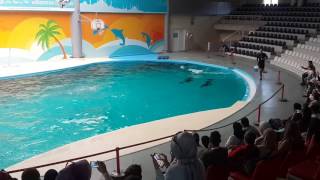 Istanbul Dolphinarium