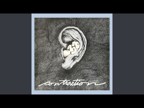 Contraction — Pixieland