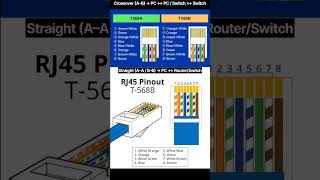 Straight Through vs Crossover Cable | RJ45 T568A T568B | Networking Basics #rj45 #cable #ethernet