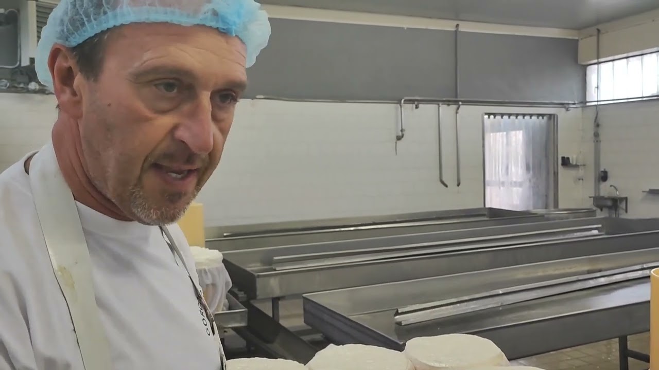 Caseificio Mauro Vagadore. Gorgonzola dolce a Vaprio D'Agogna (No) 