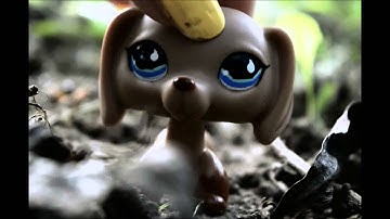 Lps Short Mv- Not On Drugs (re-upload)