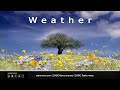SA Weather | Thursday 04 November 2021 | #SABCWeather