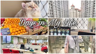 Full Days in My Life - Low Season Audit Edition (Big 4 Indonesia) Update