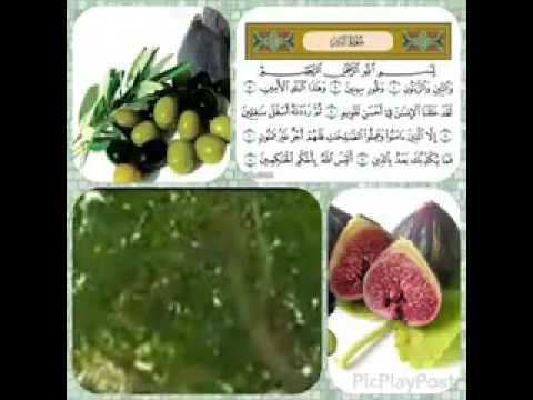 إسلام 7 يابانيين بعد اكتشاف فائدة قبل 1400 سنة