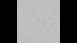 Gabor Grosschmid Live Stream