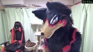 【Fursuit/獣化#146】水曜のもふもふタイム🐶🐾【ジュージュー/JuuJuu】#fursuit #獣化 #live