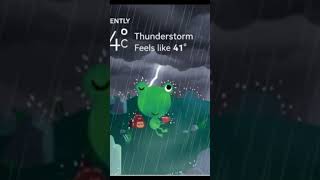 Google Weather Frog On Gemini Android