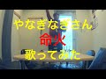 やなぎなぎ/命火【男ですが 原曲キーで 歌ってみた】【うたスキ動画】