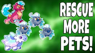 Prodigy Math Game | *NEW* Pet Rescue Update! Rescue Unobtainable Pets!