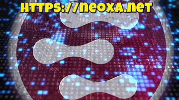 NEOXA Crypto Coin, Level Up Your Hustle (by Momirko)