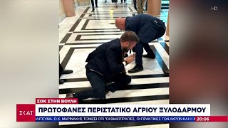 Σοκ στην Βουλή: Πρωτοφανές περιστατικό άγριου ξυλοδαρμού | Ειδήσεις Βραδινό Δελτίο | 24/04/2024