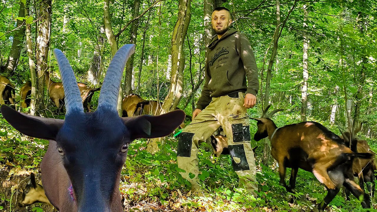 MLADE REKORDERKE kod DŽOA daju FANTASTIČNE REZULTATE