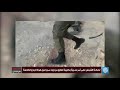 نوض كانك حي عبارة لخصت الكثير من الجمل والكلمات نوض كانك حي عبارة لخصت الكثير من الجمل والكلمات