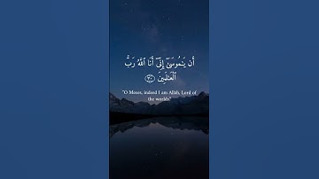 فلما اتاها نودي من شاطئ الوادي الايمن | سورة القصص (٣٠-٣١)| Surah Qasas (30-31)| الشيخ ياسر الدوسري