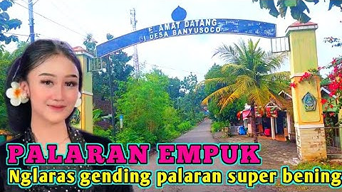 PALARAN SUPER EMPUK❗️NYLAMLENG POLLL❗️TOMBO KANGEN KAMPUNG HALAMAN