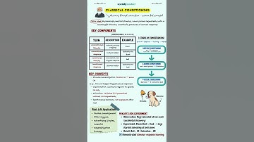 Unlocking Behavior: Classical Conditioning Explained!  #psychology #sociallysouled #fypyoutube