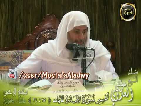 تفسير قوله تعالى قال رجلان من الذين يخافون أنعم الله عليهما الشيخ مصطفى العدوي