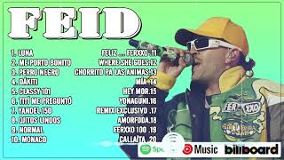 Feid 2024 (Letra/Lyrics) - Mejores Canciones de Feid - Grandes Éxitos De Feid - Mix Reggaeton 2024