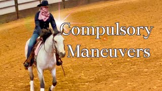 The 2024 Mustang Magic!! Compulsory Maneuvers! by The Project Equestrian 1,749 views 3 months ago 7 minutes, 8 seconds