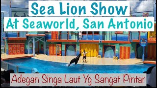 Sea Lion Show at Seaworld San Antonio, TX