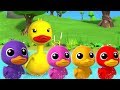 Fünf kleine Enten | Mehr Kinderkinderreime | Five Little Ducks | Preschool Songs | Italiano Rhymes