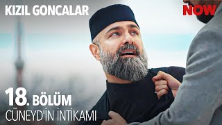 Cüneyd Gerçekleri Hatırladı - Kızıl Goncalar 18. Bölüm @KizilGoncalarDizisi