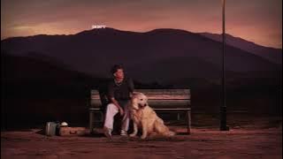 Jamie Miller - Maybe Next Time [ Lyric Video]