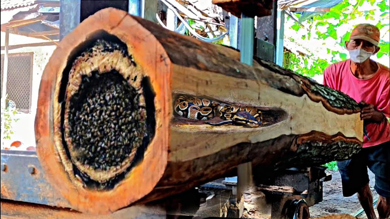 Incredible!! The process of sawing old acacia wood into beautiful ...