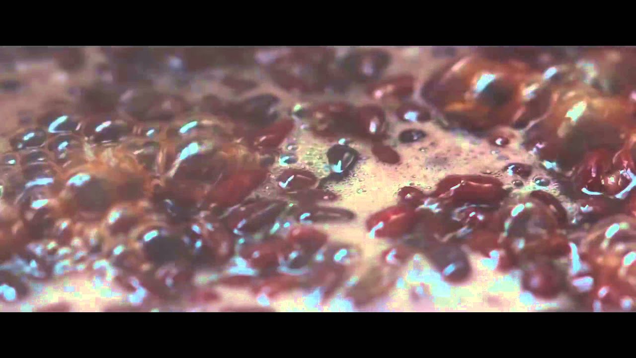 SWEET BEAN by Naomi Kawase - TRAILER